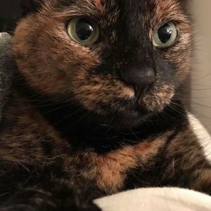 Meet your Posher, Hilary